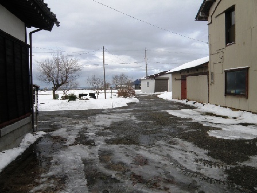 庭の様子（積雪ほぼなし）