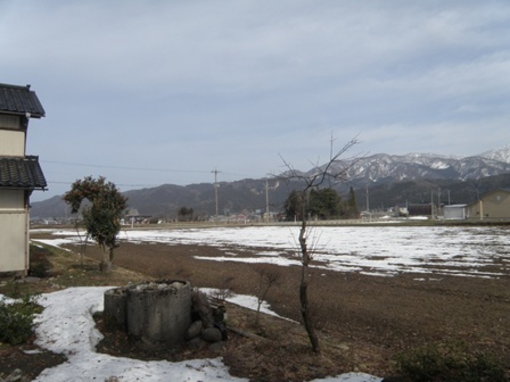 田んぼの残雪